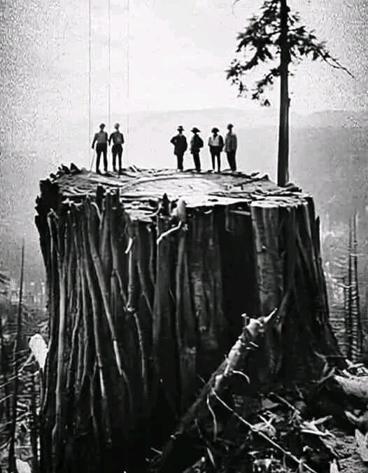 UNA FOTOGRAFIA QUE HABLA  DEL TIEMPO Y DEL ALMA DE LA TIERRA