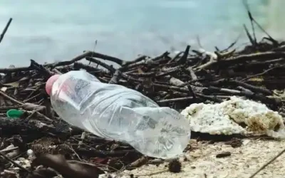 LA ISLA MÁS CONTAMINADA DEL PLANETA