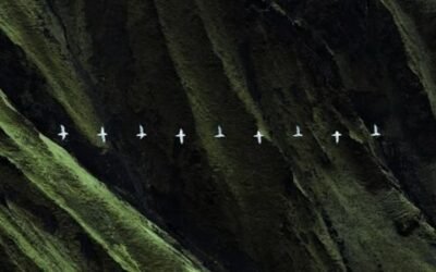 BIRD FLIGHT PATHS ACROSS ICELANDS LANDSCAPE